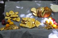 ...auf der Maori-Wanderung (Picknick am Lake Rotopounamu)...