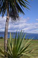 Blick auf den Lake Taupo