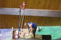 Schafshow im Agrodome Rotorua