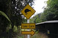 Parkanlage Rainbow Springs in Rotorua