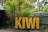 Parkanlage Rainbow Springs in Rotorua (Kiwi-Aufzuchtstation)