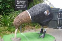 Parkanlage Rainbow Springs in Rotorua