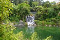 Parkanlage Rainbow Springs in Rotorua