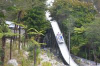 Parkanlage Rainbow Springs in Rotorua