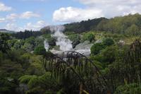 Thermalgebiet Te Puia in Rotorua