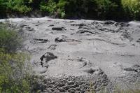 Thermalgebiet Te Puia in Rotorua