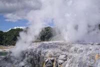 Thermalgebiet Te Puia in Rotorua (Pohutu Geysir)