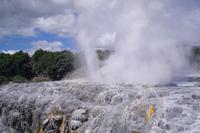 Thermalgebiet Te Puia in Rotorua (Pohutu Geysir)
