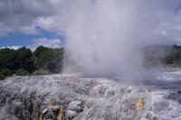 Thermalgebiet Te Puia in Rotorua (Pohutu Geysir)