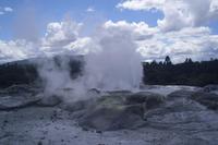 Thermalgebiet Te Puia in Rotorua (Pohutu Geysir)