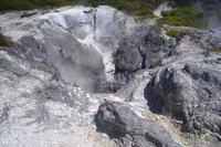 Thermalgebiet Te Puia in Rotorua
