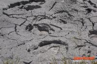 SchlammtÜmpel im Thermalgebiet Te Puia in Rotorua