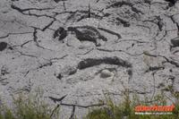 SchlammtÜmpel im Thermalgebiet Te Puia in Rotorua