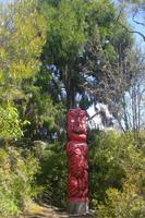 Thermalgebiet Te Puia in Rotorua