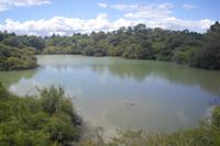 Thermalgebiet Te Puia in Rotorua (Waikaukau See)