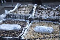 Maori-Abend in Rotorua mit Hangi Essen