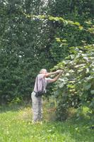 Wolfgang beim Besuch einer Kiwi-Farm bei Cambridge