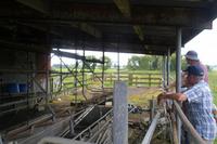 Rundgang auf der Rosenvale-Farm bei Cambridge