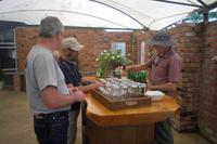 Rosenvale-Farm bei Cambridge