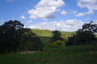 Rundgang auf der Rosenvale-Farm bei Cambridge