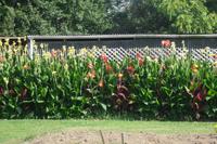 Rundgang auf der Pricy-Farm