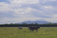 Rundgang auf der Pricy-Farm