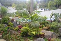 Gartenanlage des Paihia Pacific Resort Hotels