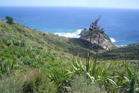 Cape Reinga