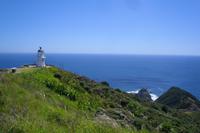 Cape Reinga