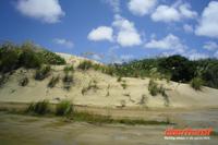 Sanddünen in der Nähe des Ninety Mile Beach