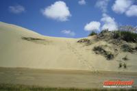 Sanddünen in der Nähe des Ninety Mile Beach
