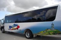 Ancient Kauri Kingdom (...wieder ein sauberer Bus...)