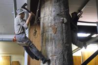 Kauri Museum in Matakohe