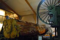 Kauri Museum in Matakohe