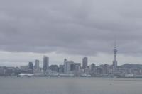 Skyline von Auckland