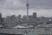 Skyline von Auckland