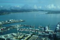 Blick vom Sky-Tower auf Auckland