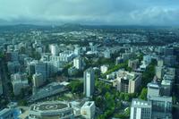 Blick vom Sky-Tower auf Auckland