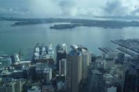 Blick vom Sky-Tower auf Auckland