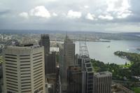 Ausblicke vom Sydney Tower auf die Stadt...