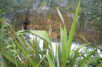 Pancake Rocks in Punakaiki