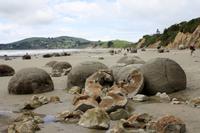 Moeraki Boulders