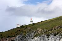 Leuchtturm auf Taiaroa Head