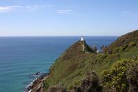 Leuchtturm in den Catlins