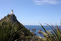 Leuchtturm am Nugget Point