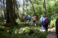 Wanderung auf dem Kepler Track
