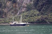 Kreuzfahrt im Milford Sound