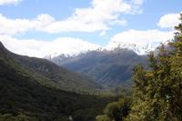 Hollyford Valley