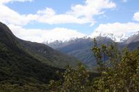 Hollyford Valley