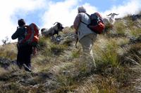 Wanderung zum Ben Lomond